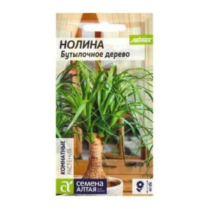 Нолина "БУТЫЛОЧНОЕ дерево" мн.   3шт 2858863