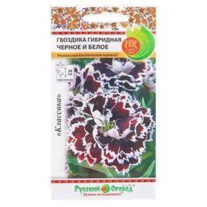 Гвоздика гибридн. "Черное и белое" О 50шт  4073387