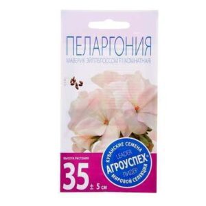 Пеларгония Маверик Эйплблоссом 4шт 1094476