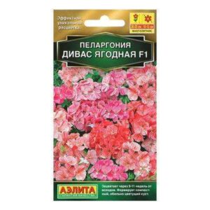 Пеларгония "ДИВАС F1" смесь мн 3шт 1314099