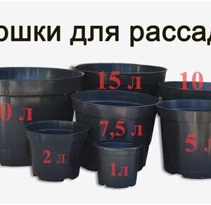 Рассада цветов в горшках 1 литр