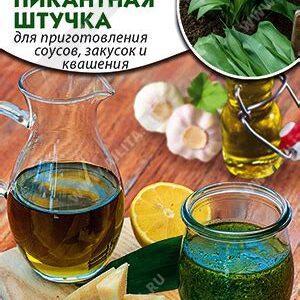 Черемша "Пикантная штучка" 0,5г 7643837