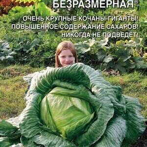 Капуста белокачан. "Безразмерная" 0,3г 15470804