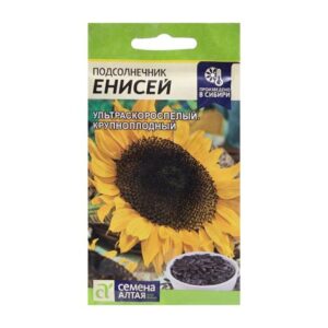 Подсолнечник Енисей 10г 4037925
